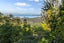 47 Waima Crescent, Titirangi, Auckland - Carousel 23