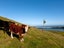 0 Mokau Road, Mohakatino, Mokau - Carousel 7