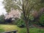 17A Rochester Street, Linwood, Christchurch - Carousel 12