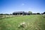 46 Seachange Drive, Leamington, Cambridge - Carousel 20
