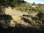 19 Tenby Street, Moeraki - Carousel 12