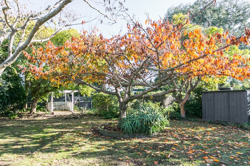 57 McGrath Street, Napier South, Napier - Carousel 20