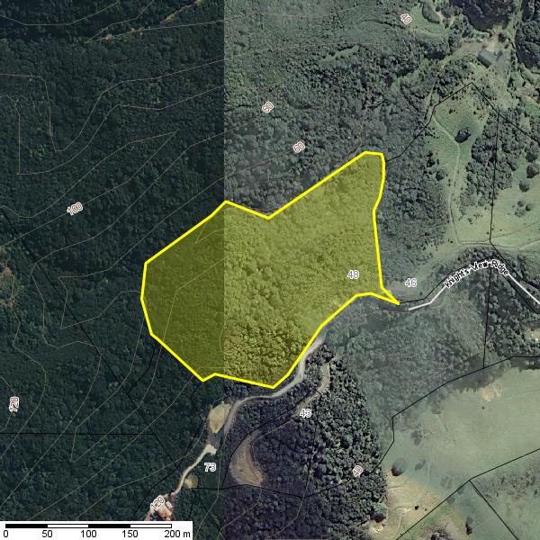 48 Knights View Ridge, Whangarei - Carousel 11