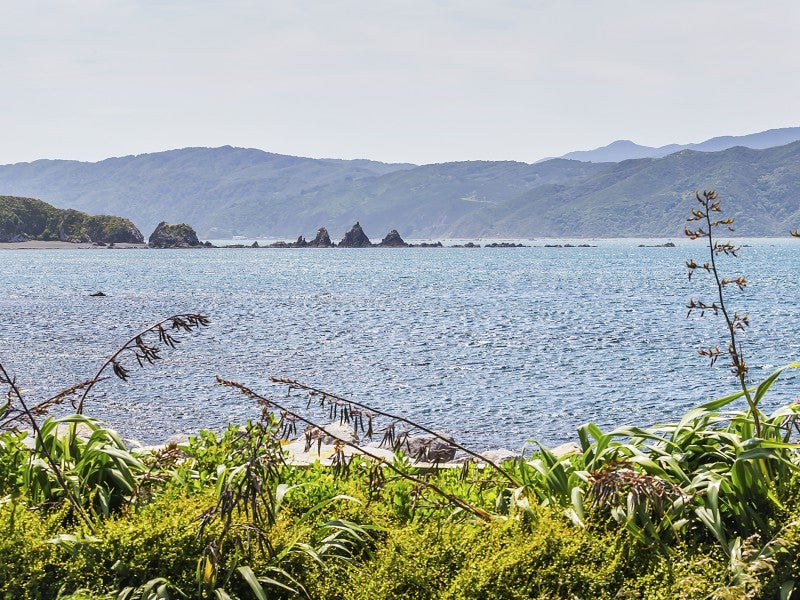 167 Breaker Bay Road, Breaker Bay, Wellington - Carousel 19