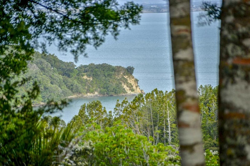 41 Tane Road, Laingholm, Auckland - Carousel 20