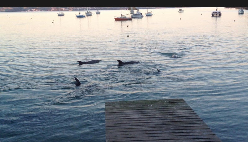 12 Omiha Road, Omiha, Waiheke Island - Carousel 18