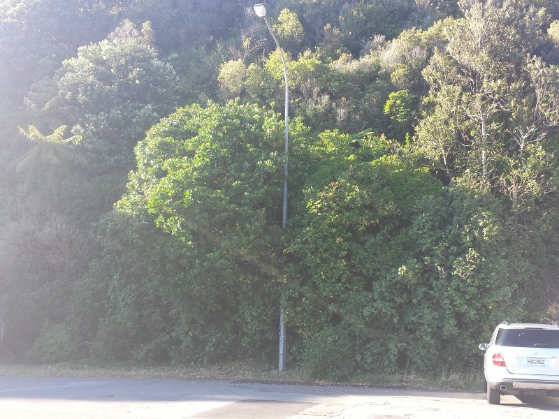 203 Marine Drive, Lowry Bay, Lower Hutt - Carousel 4