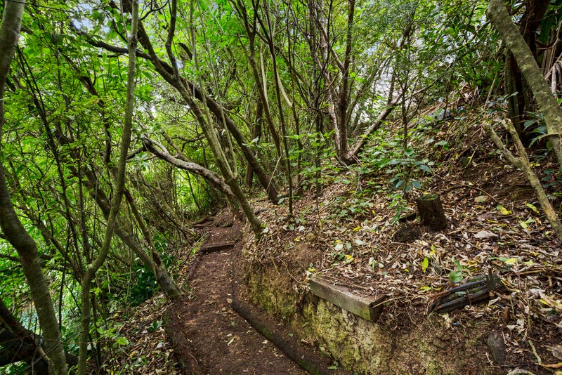 8 Green Park Lane, Korokoro, Lower Hutt - Carousel 20