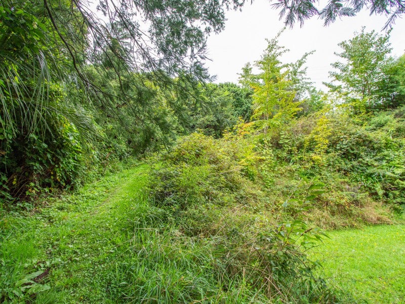 394 Sunset Road, Sunnybrook, Rotorua - Carousel 2