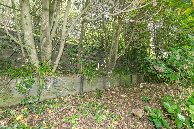 18 Nikau Place, Pukete, Hamilton - Carousel 20