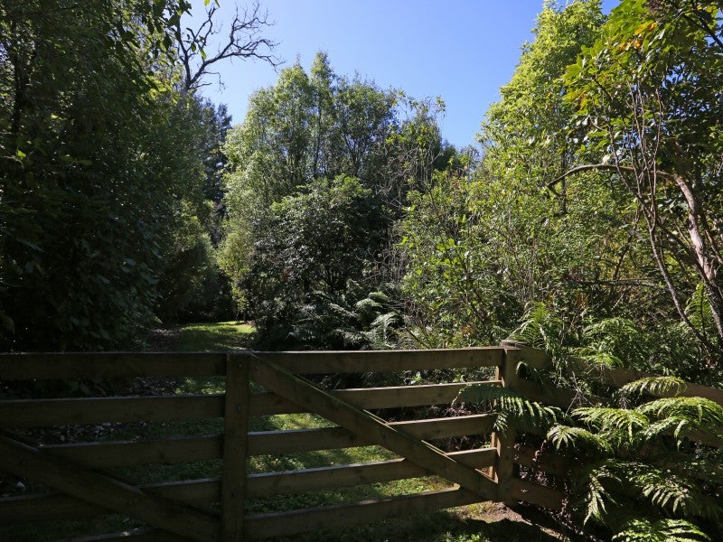 1310 State Highway 41, Turangi - Carousel 2