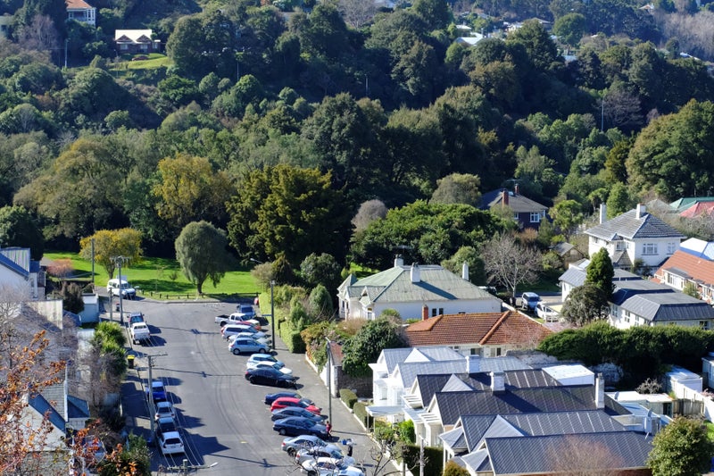 183 Queen Street, North Dunedin, Dunedin - Carousel 20