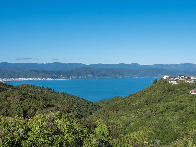 12B Bayswater Place, Newlands, Wellington - Carousel 2