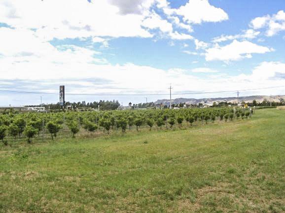 3516 State Highway 1, Riverlands - Carousel 6