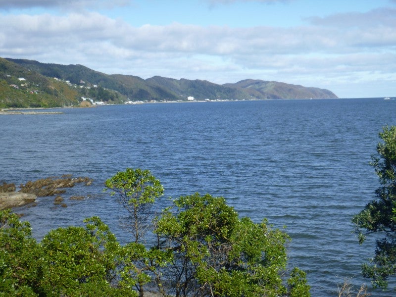 125A Marine Drive, Sorrento Bay, Lower Hutt - Carousel 20