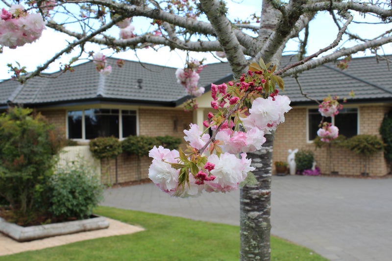 176 Brymer Road, Rotokauri, Hamilton - Carousel 17