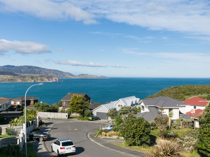 3 Bury Grove, Strathmore Park, Wellington - Carousel 13