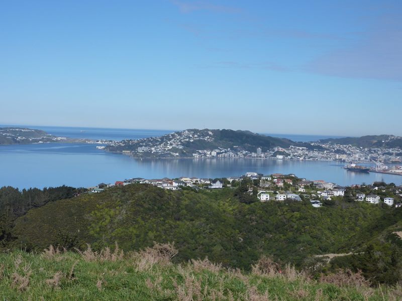 20 Piper Way, Newlands, Wellington - Carousel 2