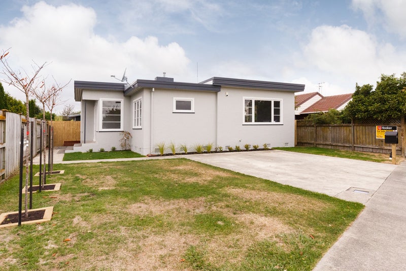 99 Fitzroy Street, Terrace End, Palmerston North - Carousel 23