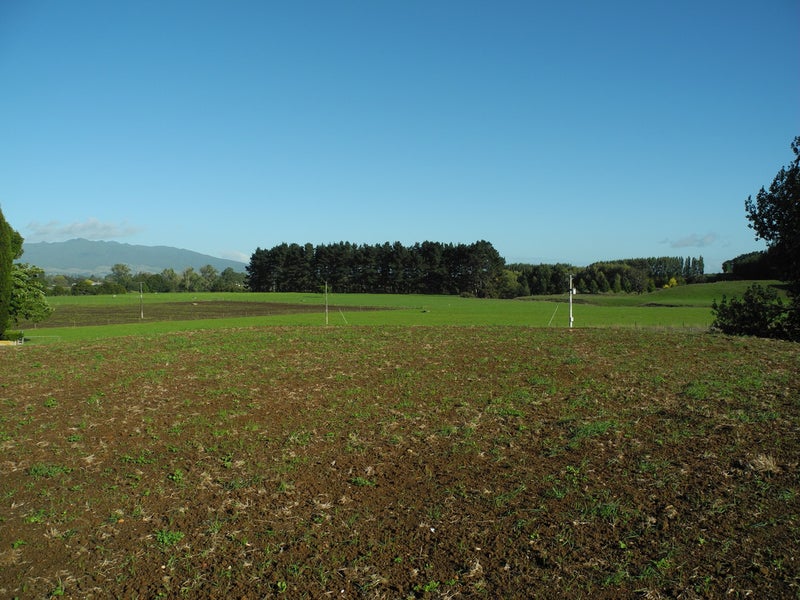 77 Day Road, Te Awamutu, Ohaupo - Carousel 1