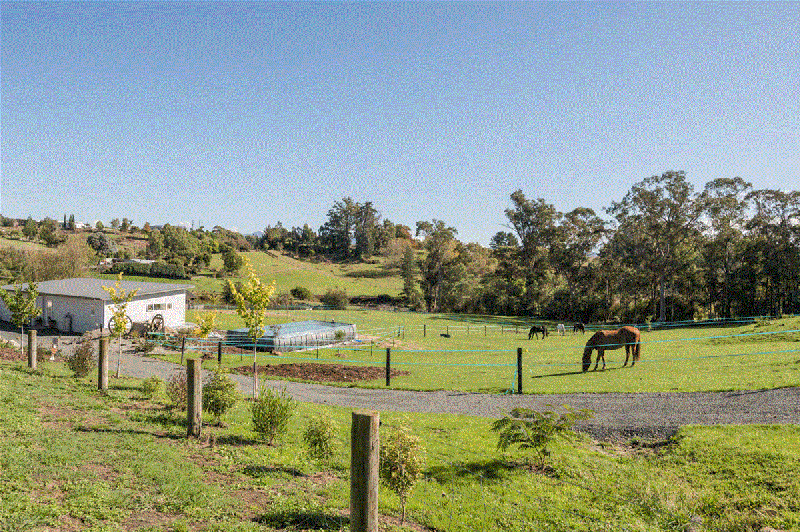 236 The Coastal Highway, Redwood Valley - Carousel 2