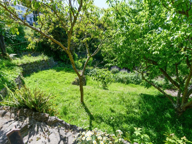 25 Thompson Road, Bluff Hill, Napier - Carousel 16