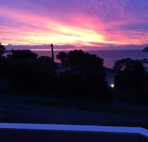 17 Taupo Crescent, Plimmerton, Porirua - Carousel 2