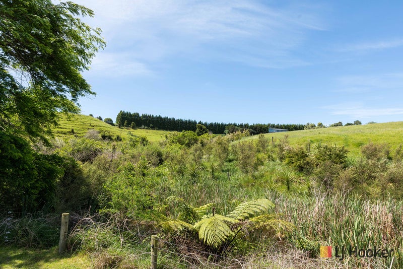 225 Henry Road, TAHAWAI - Carousel 7