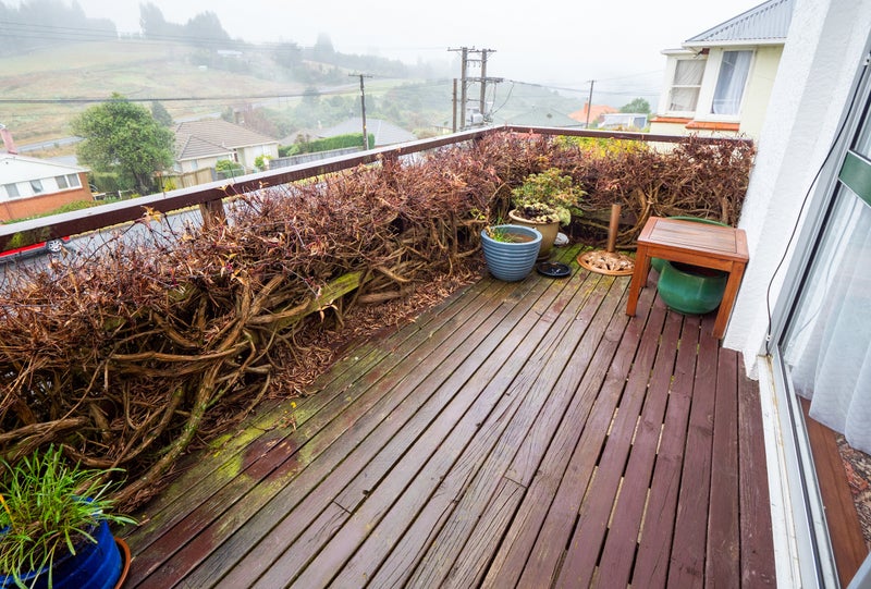 87 Caldwell Street, Brockville, Dunedin - Carousel 19