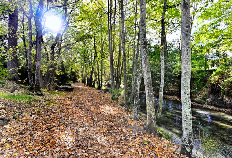 1/1 Hurunui Street, Cracroft, Christchurch - Carousel 21