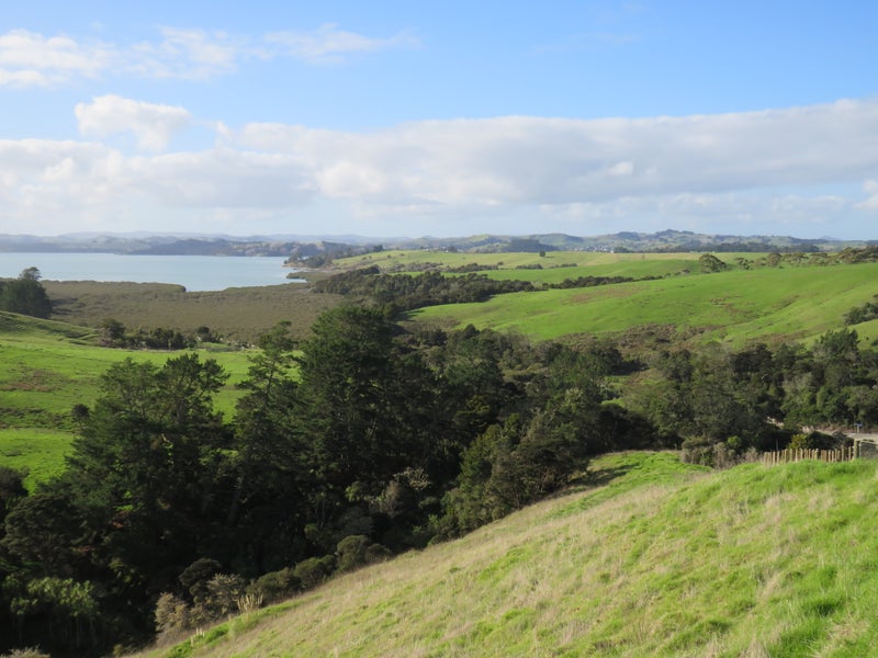 0 Hall Rd, Tinopai - Carousel 24