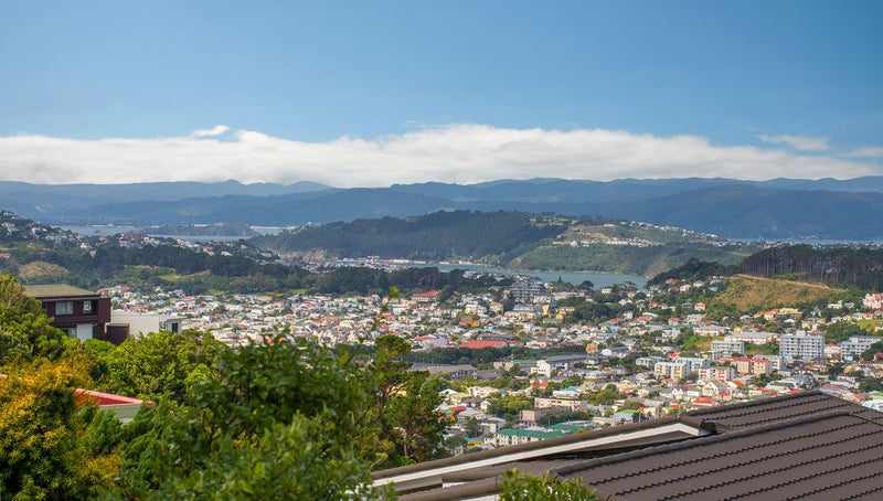 17 Maple Grove, Kingston, Wellington - Carousel 2