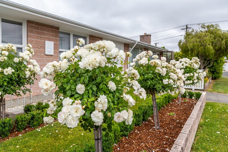 4 Millar Street, Sydenham, Christchurch - Carousel 16