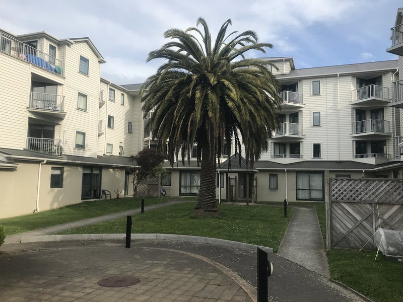 B4/13 Palm Grove, Berhampore, Wellington - Carousel 11