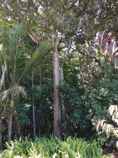 24 Whaka Street, Maungaturoto, Maungaturoto - Carousel 20