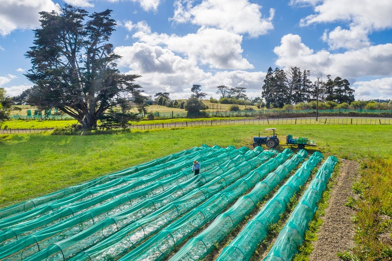 165 Annett Road, Kumeu - Carousel 9