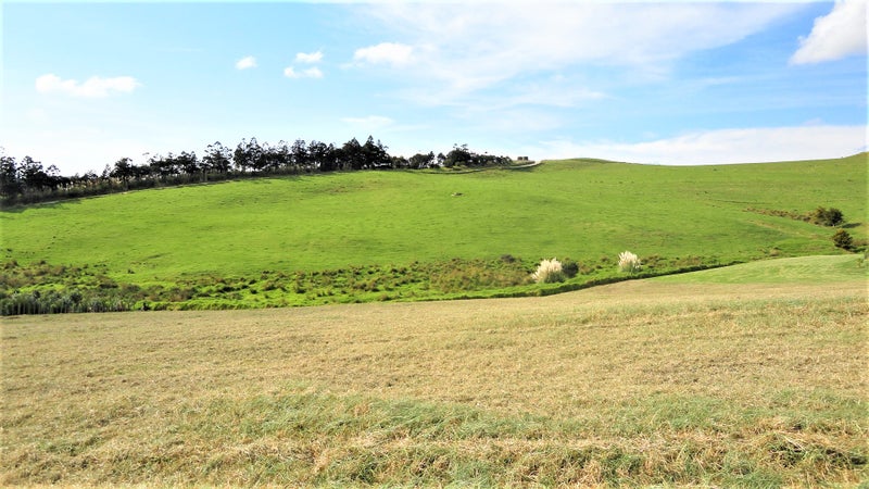 45 Cotton LANE, MANGAWAHI - Carousel 15