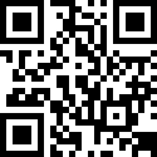 3 Ferrymead Terrace, Ferrymead, Christchurch - Carousel 21