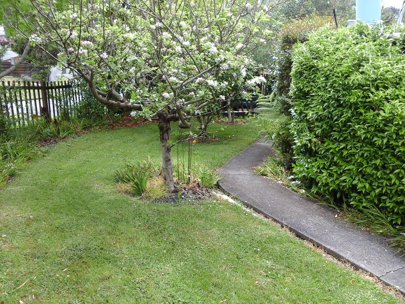 1 Sunburst Lane, Torbay, Auckland - Carousel 2