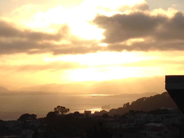 11A Atlanta Grove, Brooklyn, Wellington - Carousel 1