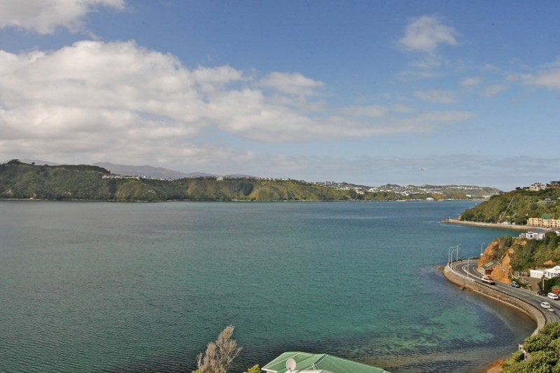 33B Maida Vale Road, Roseneath, Wellington - Carousel 26