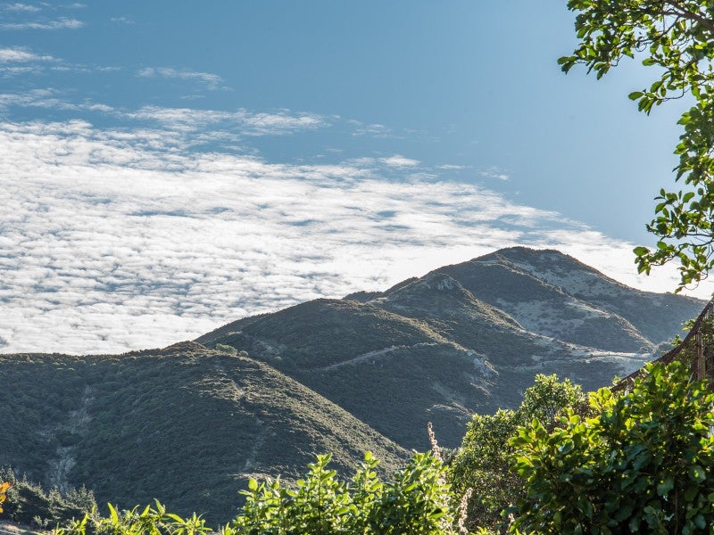 27 Robertson Street, Owhiro Bay, Wellington - Carousel 13