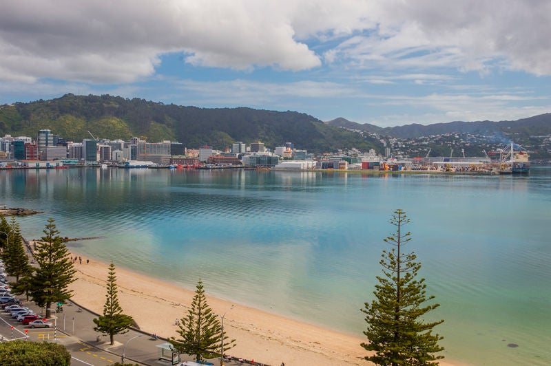 22 Hay Street, Oriental Bay, Wellington - Carousel 2