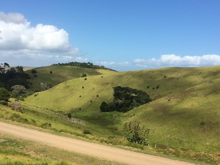 30 South Pacific Road, Rakino Island, Auckland - Carousel 6