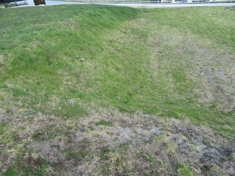 49D Bunyan Road, Coastlands, Whakatāne - Carousel 4