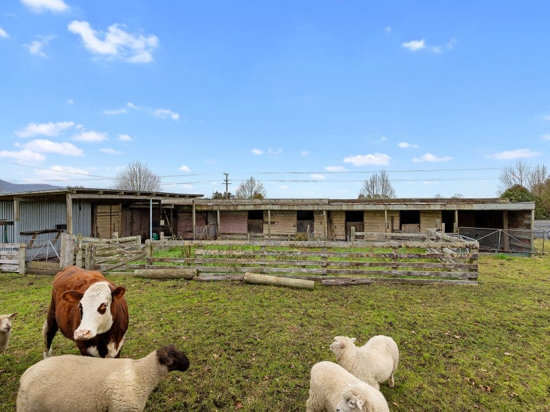 4623 State Highway 26, Te Aroha, Te Aroha - Carousel 26