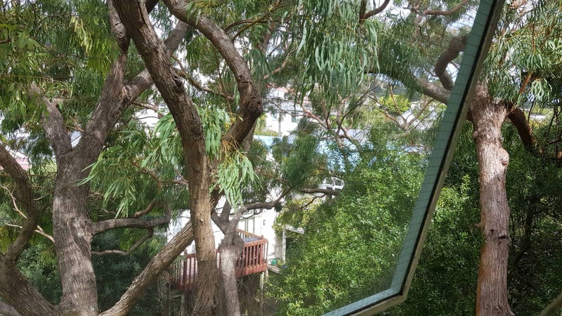 8/33 Hania Street, Mount Victoria, Wellington - Carousel 18