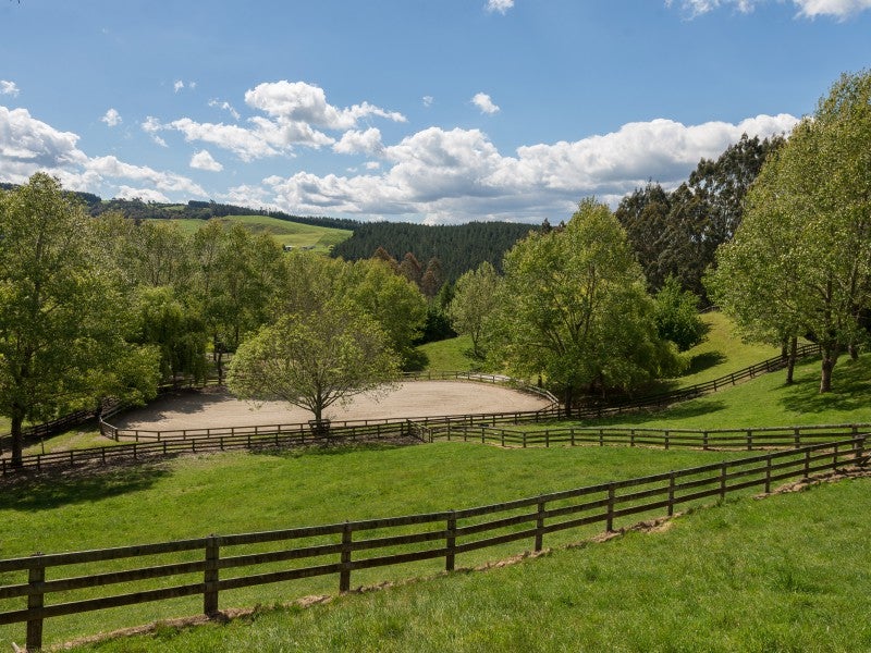 818B Paradise Valley Road, Ngongotaha Valley - Carousel 26