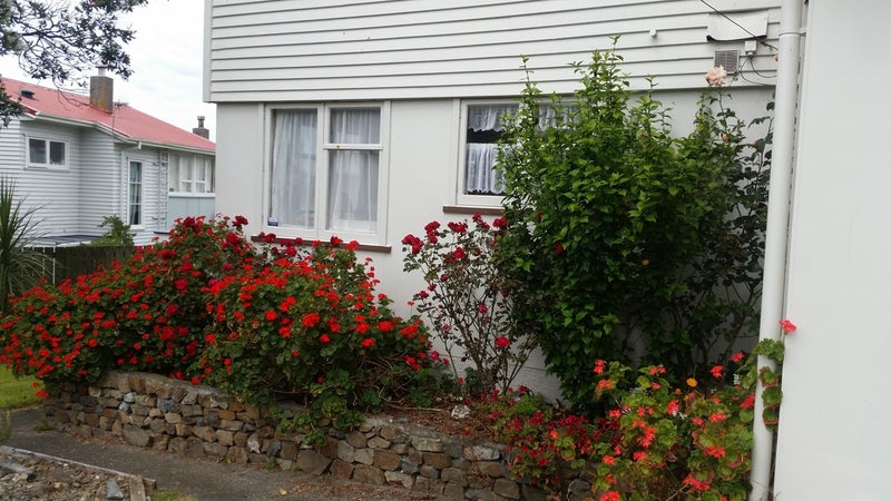 9 Owhiti Street, Titahi Bay, Porirua - Carousel 26