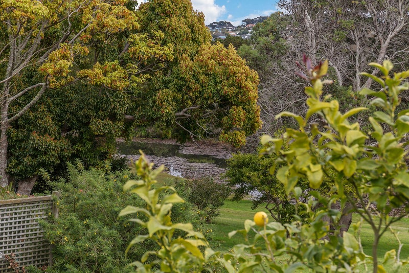 23 D'Urville Place, Gulf Harbour, Whangaparaoa - Carousel 22